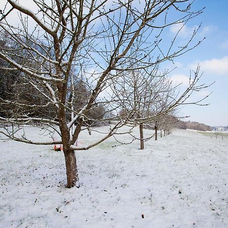 Stone Cottage With Modern Cosy Interior Near To Josselin Perfect Retreat For Writers Or Star Gazers Guegon Exterior foto