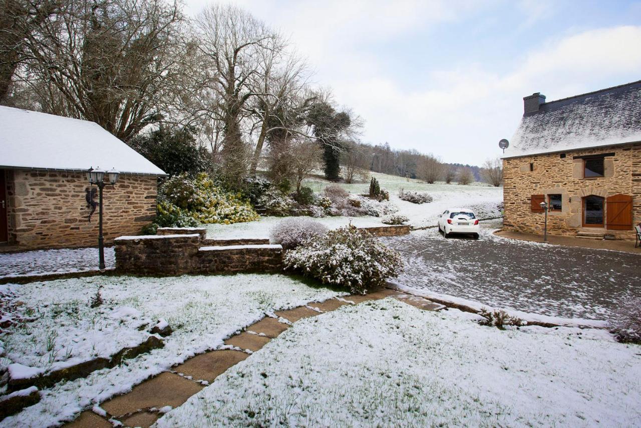 Stone Cottage With Modern Cosy Interior Near To Josselin Perfect Retreat For Writers Or Star Gazers Guegon Exterior foto