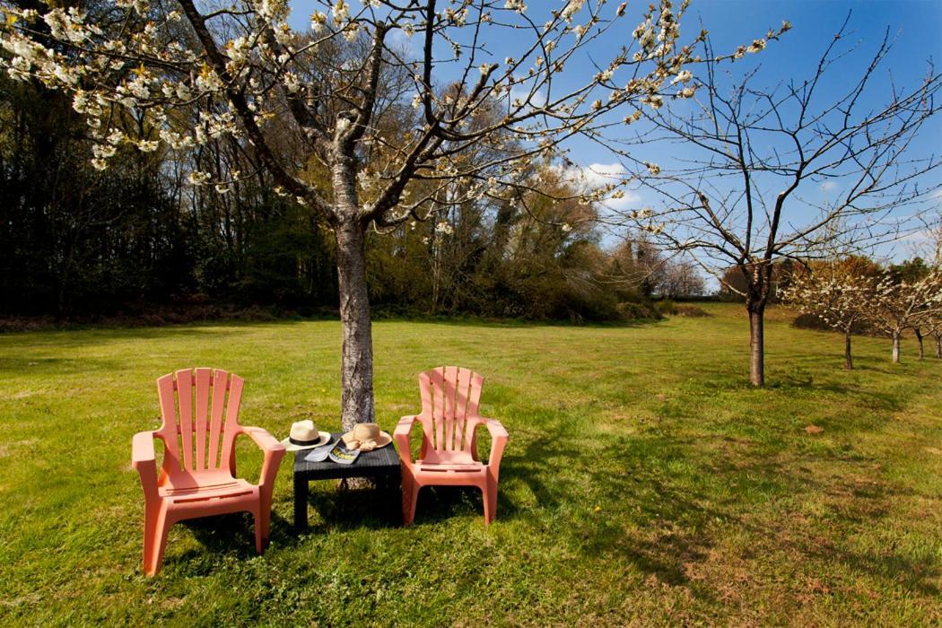 Stone Cottage With Modern Cosy Interior Near To Josselin Perfect Retreat For Writers Or Star Gazers Guegon Exterior foto